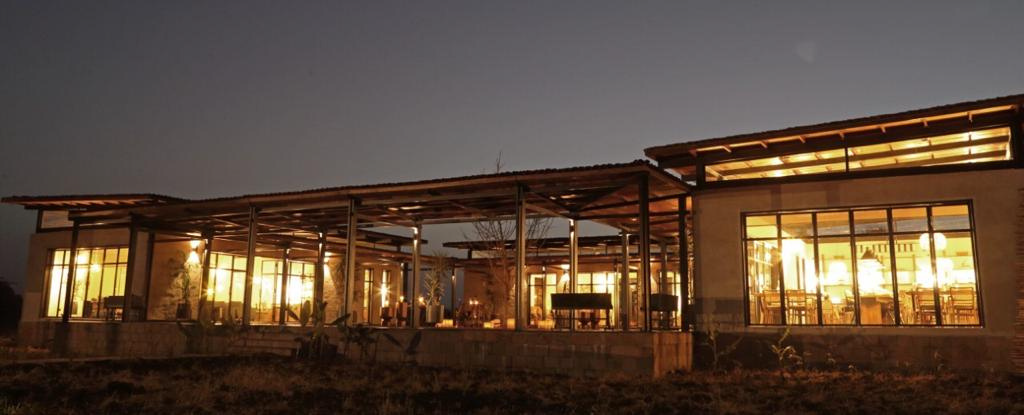 Zira Collection Item